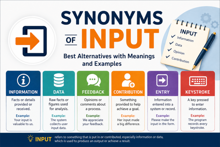 synonyms of input